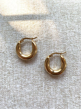 Load image into Gallery viewer, CLIO hoop earrings
